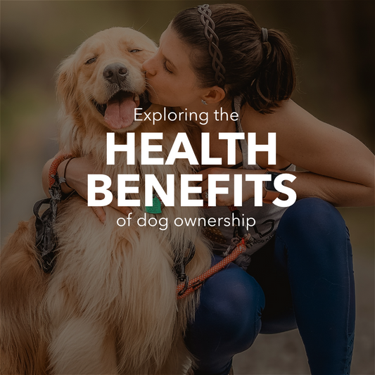 Pawsitive Effects: Exploring the Health Benefits of Dog Ownership