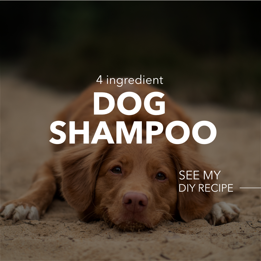 DIY Dog Shampoo
