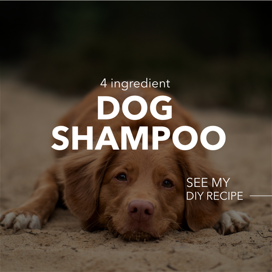 DIY Dog Shampoo