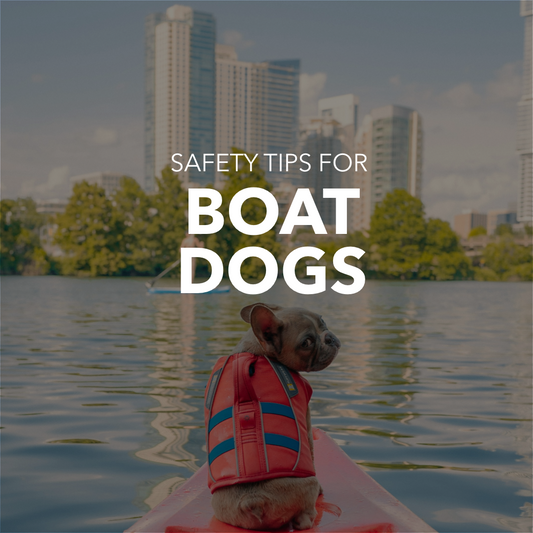 Navigating Safe Waters: Boating Safety Tips for Dogs