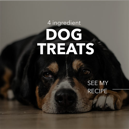 4 Ingredient Simple Homemade Dog Treats