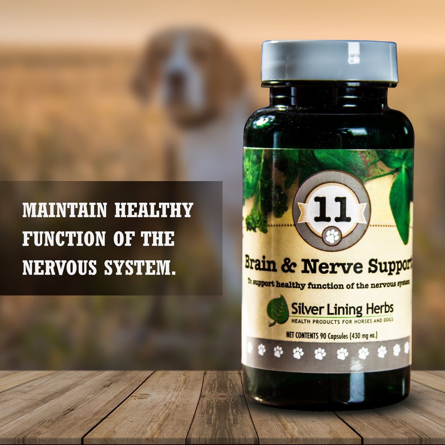 Brain & Nerve Support by Silver Linings Herbs