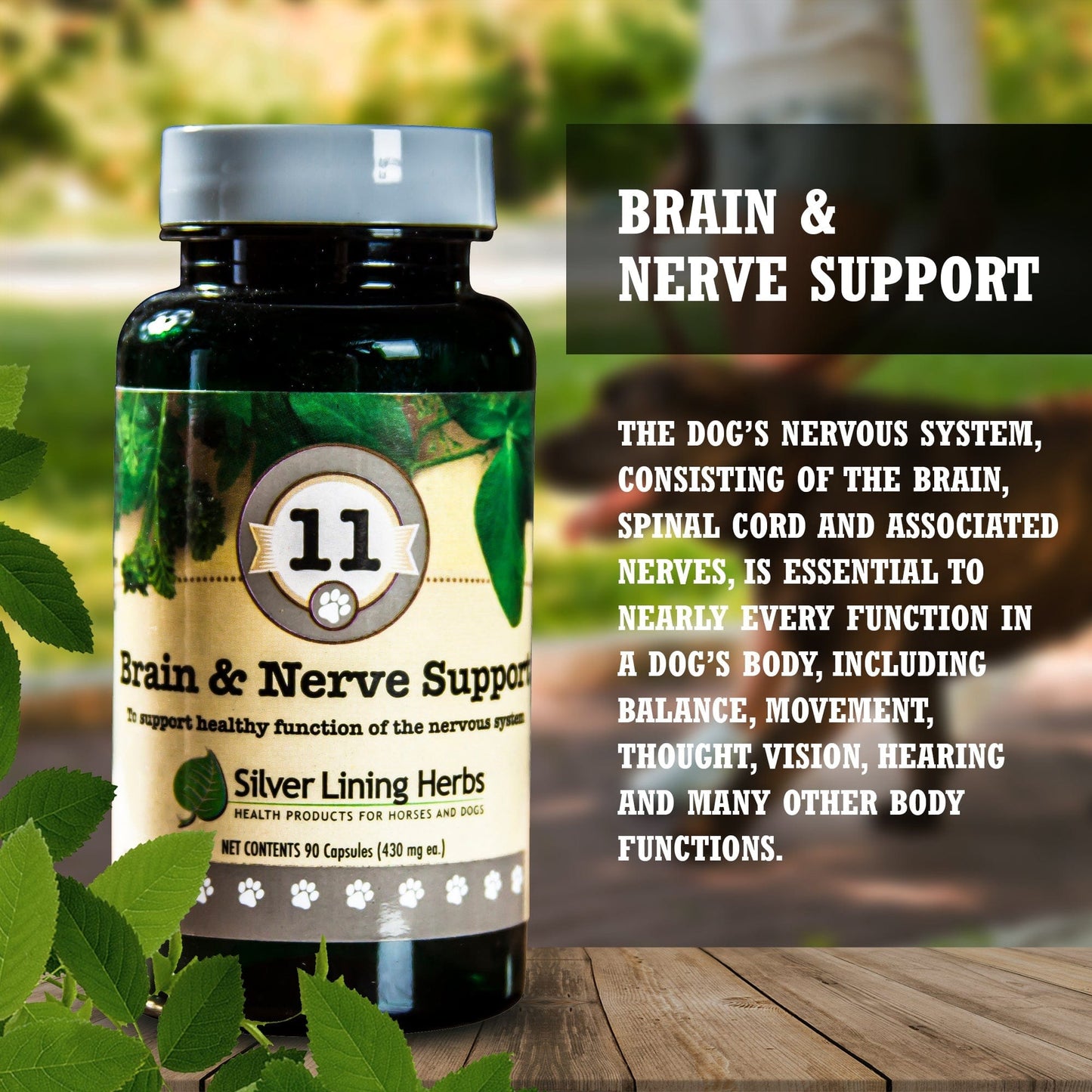 Brain & Nerve Support by Silver Linings Herbs