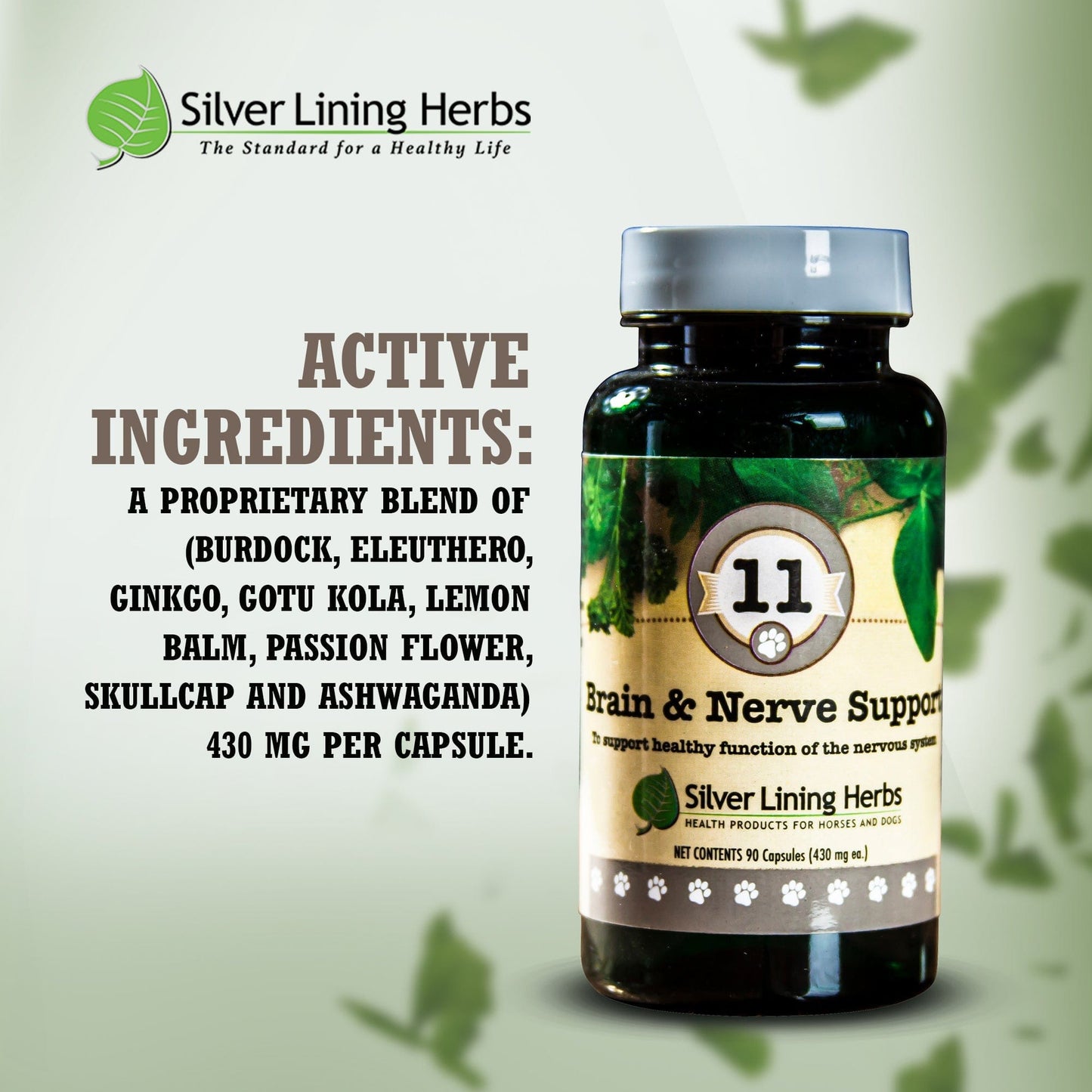 Brain & Nerve Support by Silver Linings Herbs