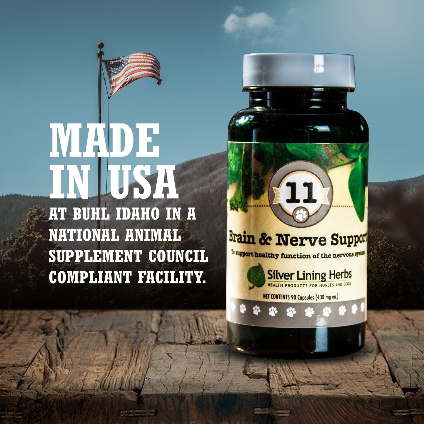 Brain & Nerve Support by Silver Linings Herbs