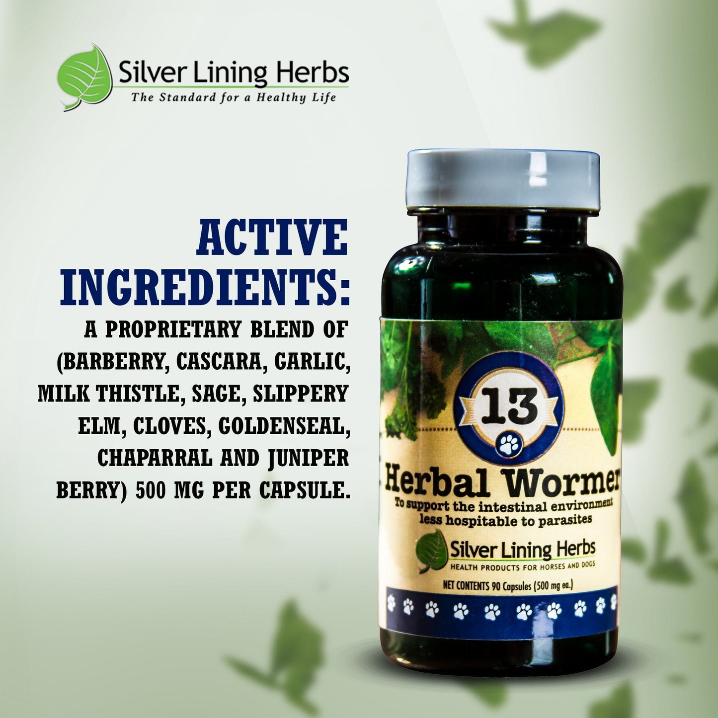 Herbal Wormer by Silver Lining Herbs