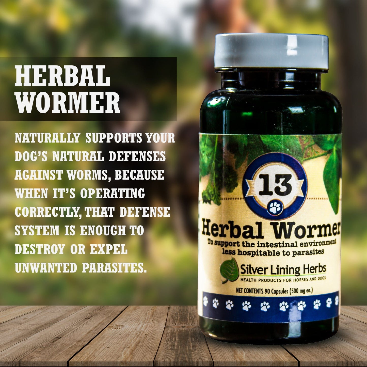 Herbal Wormer by Silver Lining Herbs