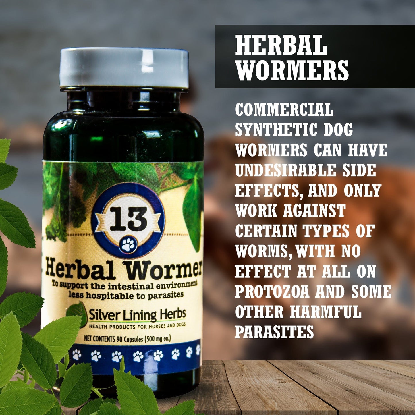 Herbal Wormer by Silver Lining Herbs