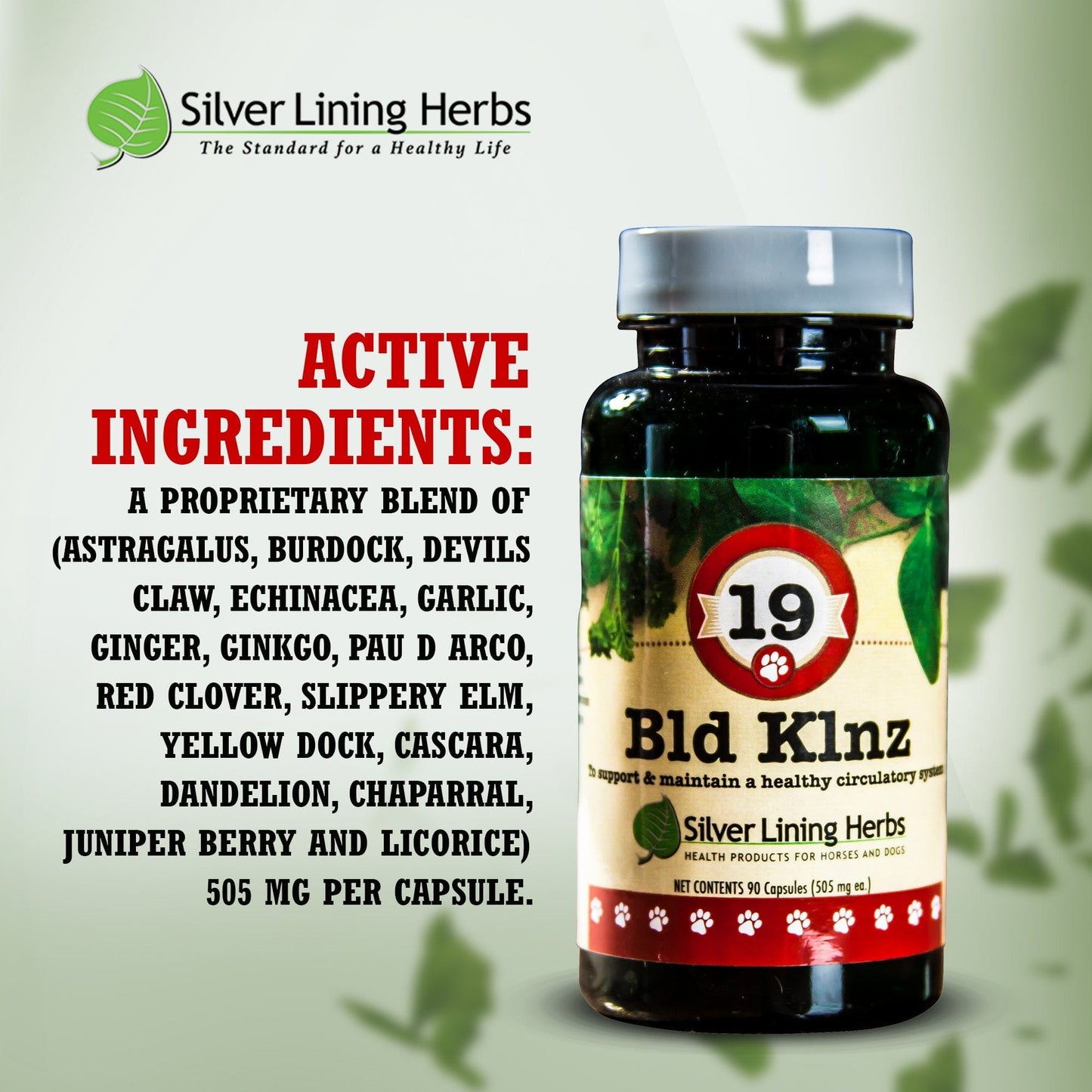 Bld Klnz (Blood Cleanse) by Silver Linings Herbs