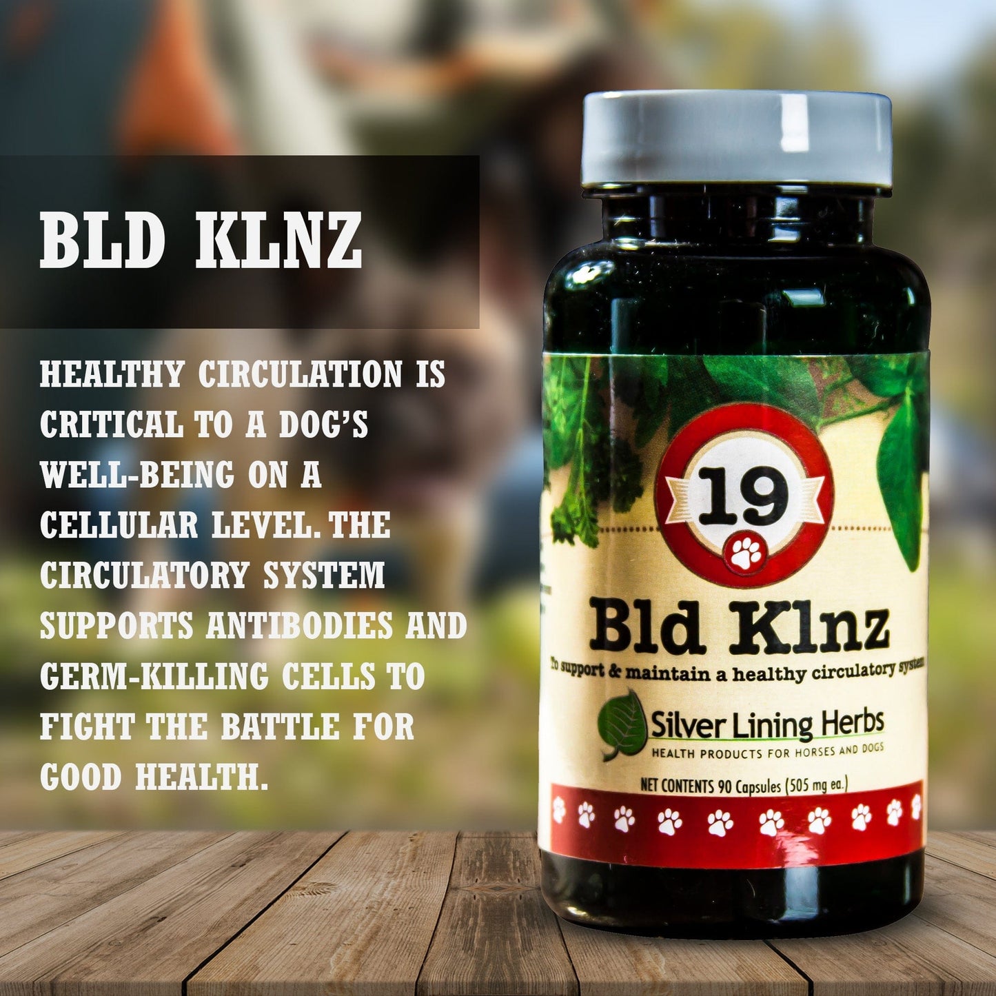 Bld Klnz (Blood Cleanse) by Silver Linings Herbs