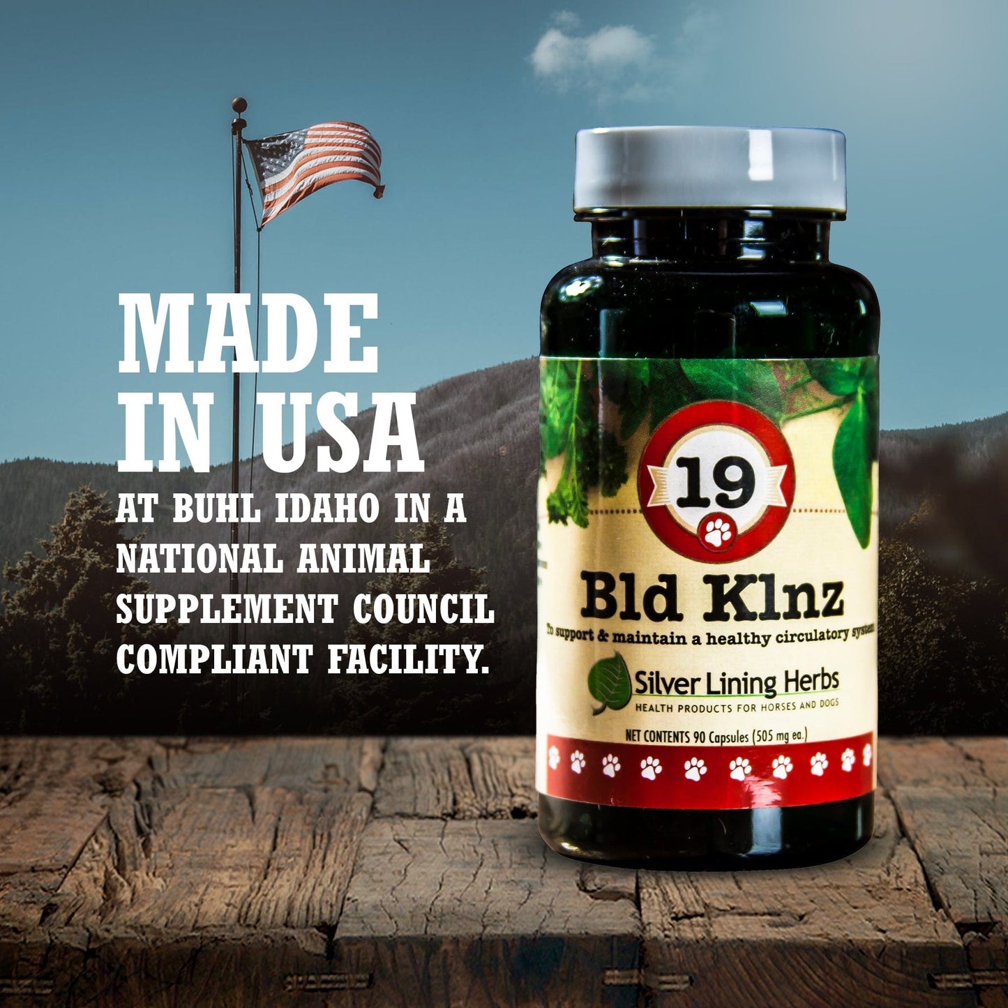 Bld Klnz (Blood Cleanse) by Silver Linings Herbs