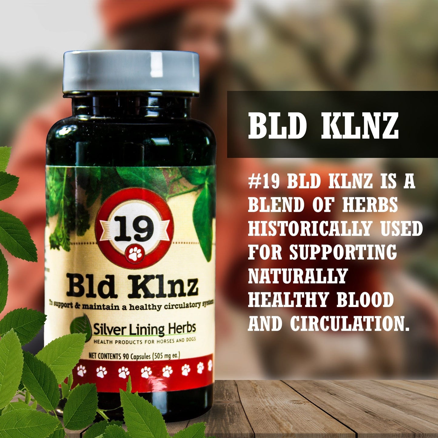 Bld Klnz (Blood Cleanse) by Silver Linings Herbs