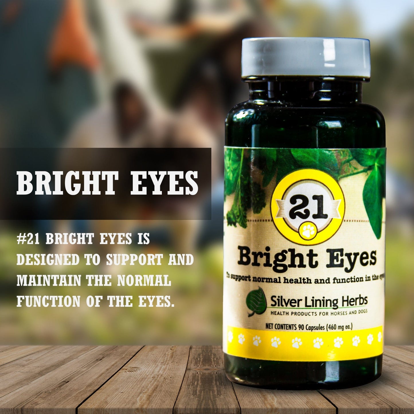 Bright Eyes by Silver Linings Herbs