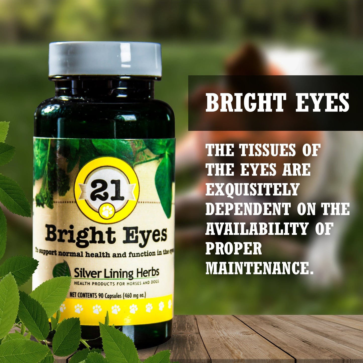 Bright Eyes by Silver Linings Herbs