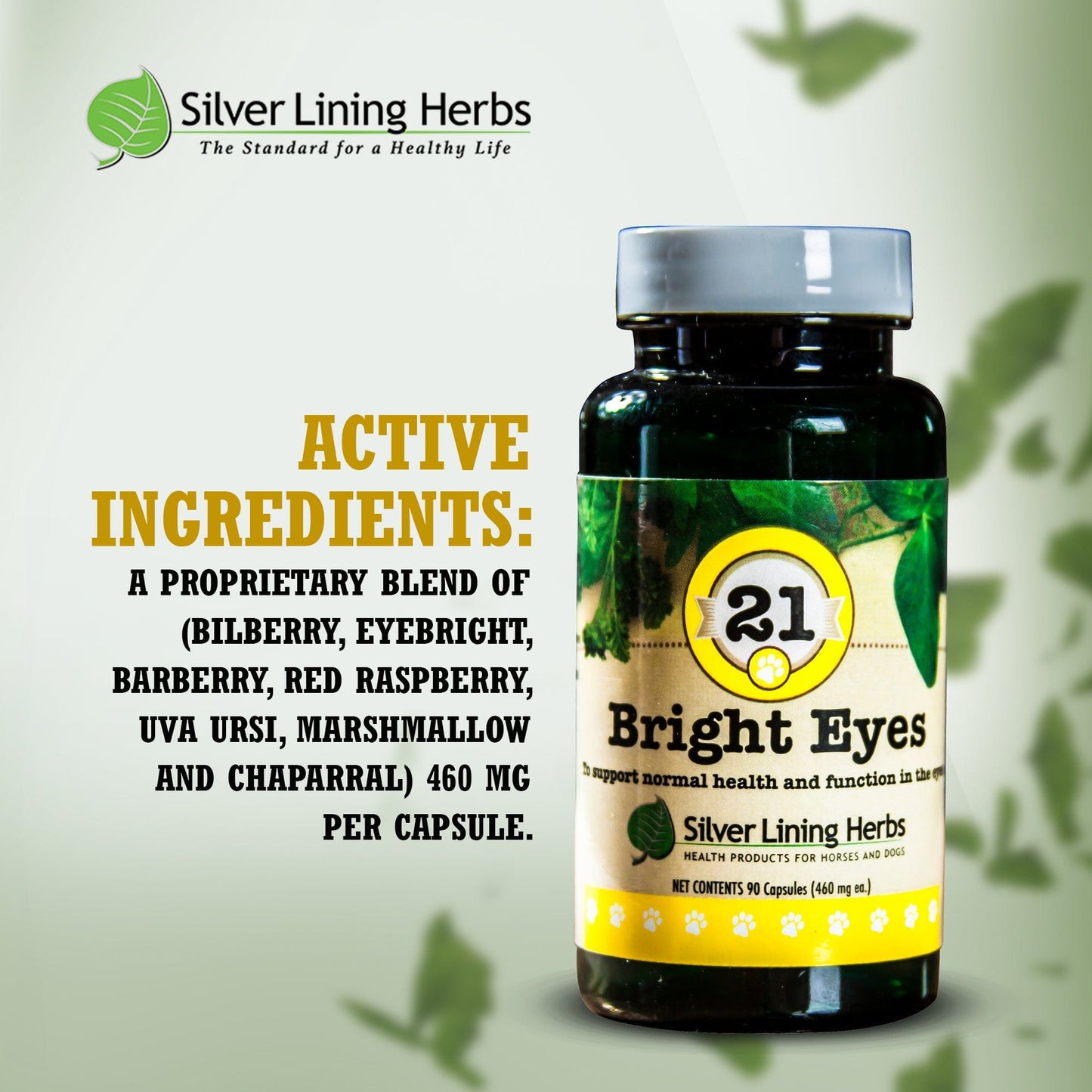 Bright Eyes by Silver Linings Herbs