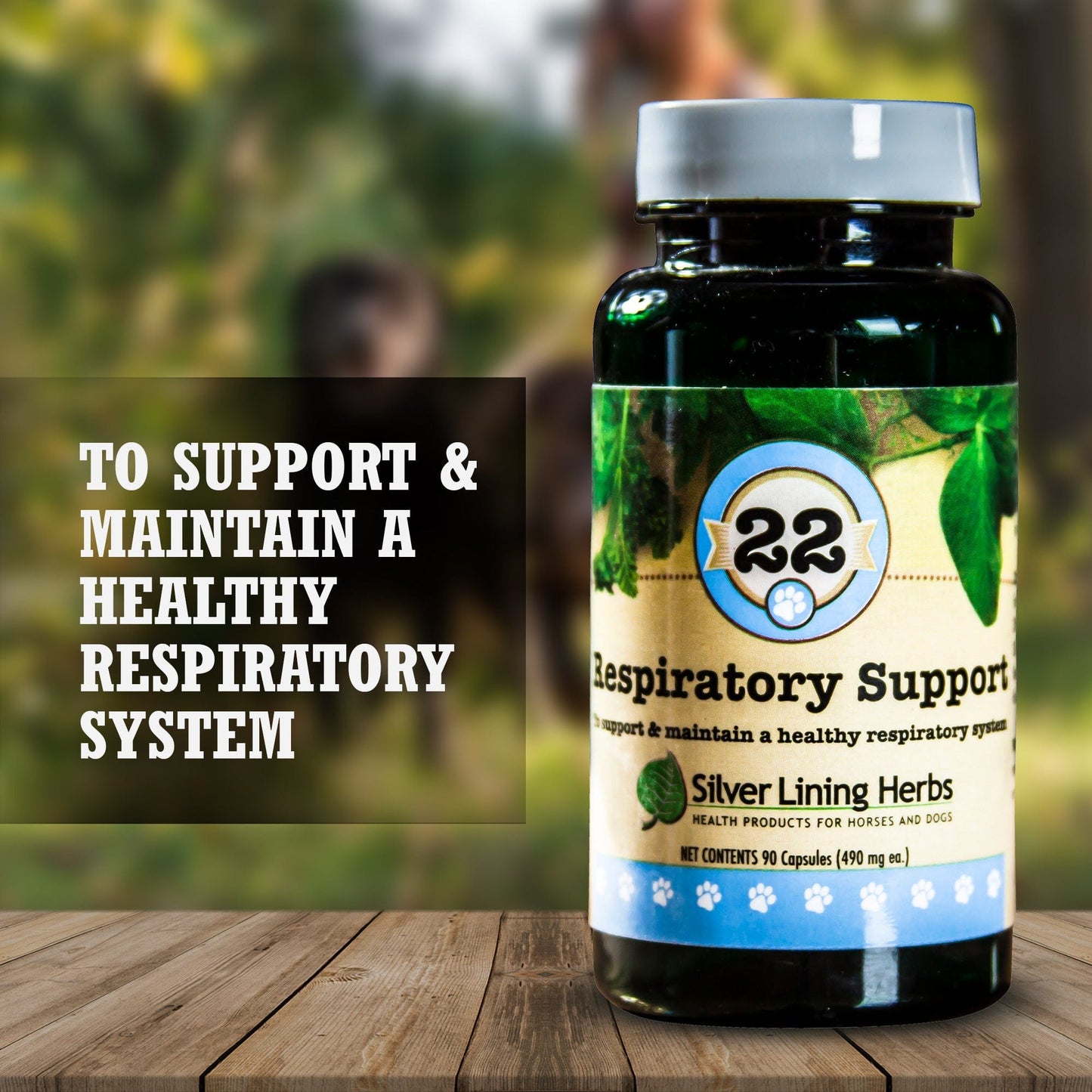 Respiratory Support by Silver Linings Herbs
