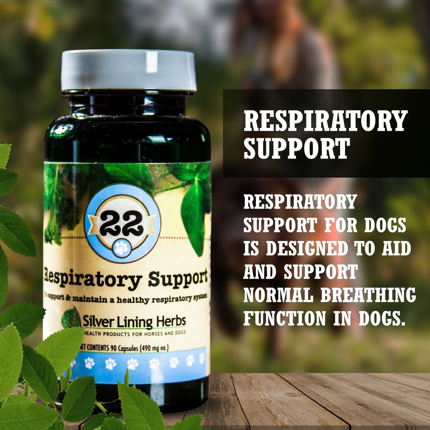 Respiratory Support by Silver Linings Herbs