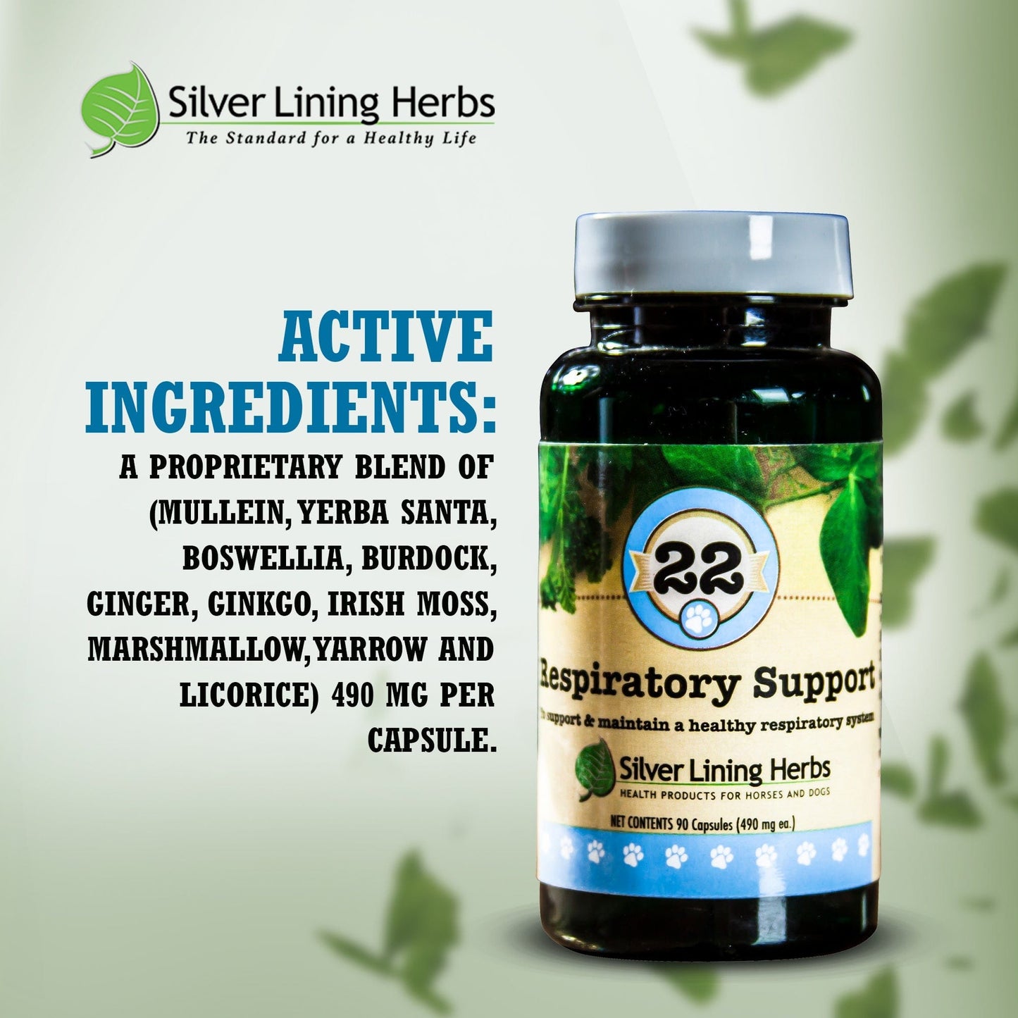 Respiratory Support by Silver Linings Herbs