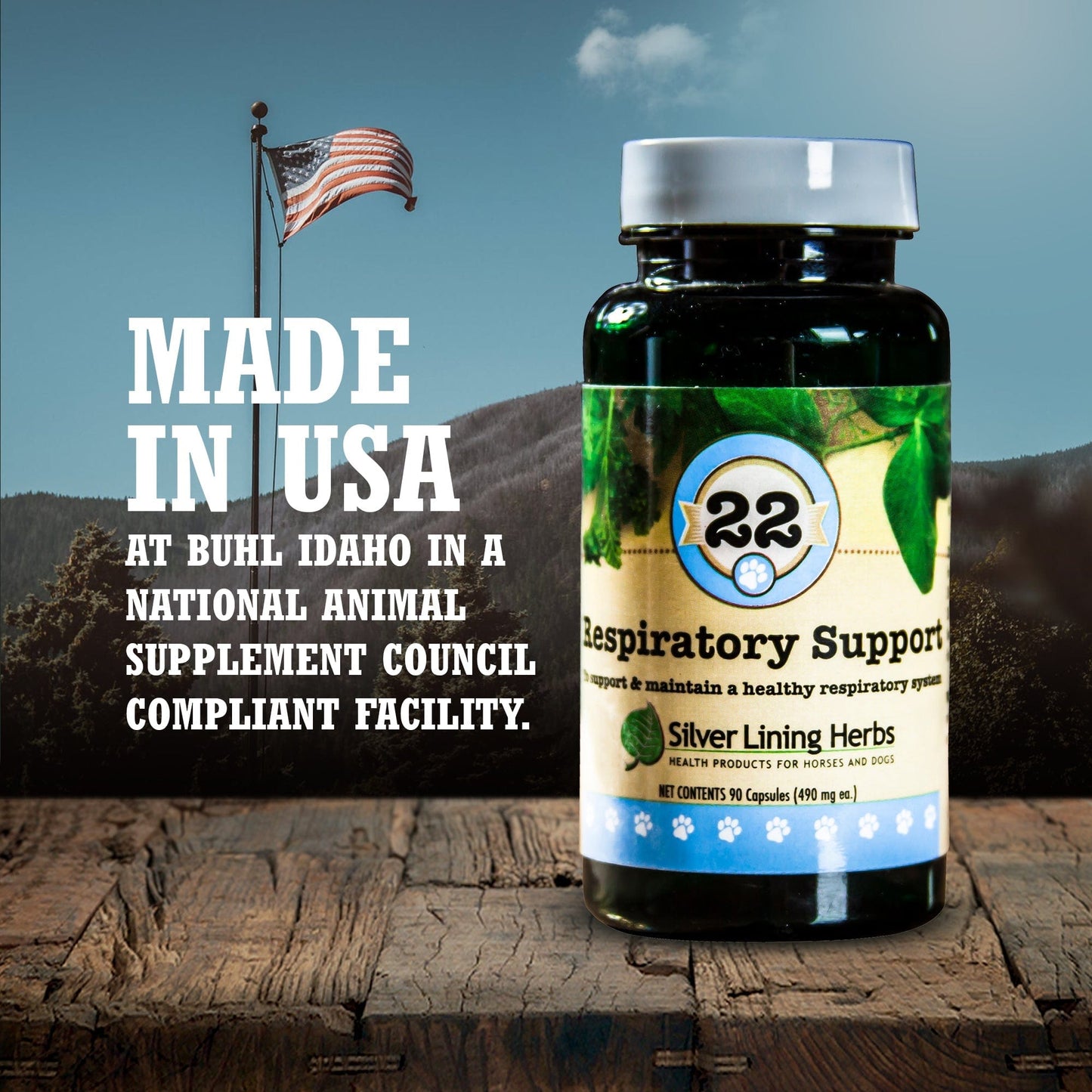 Respiratory Support by Silver Linings Herbs