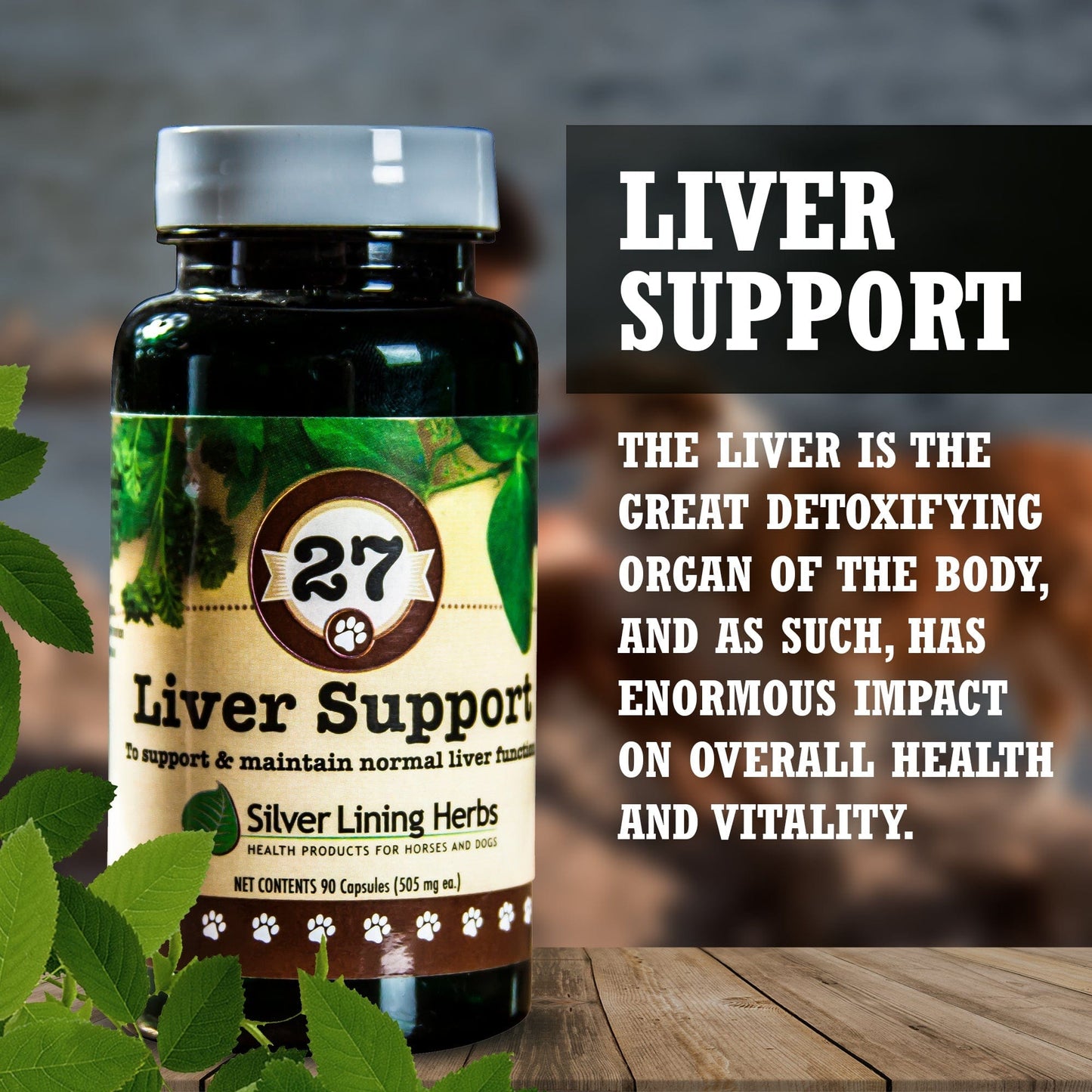 Liver Support Silver Lining Herbs