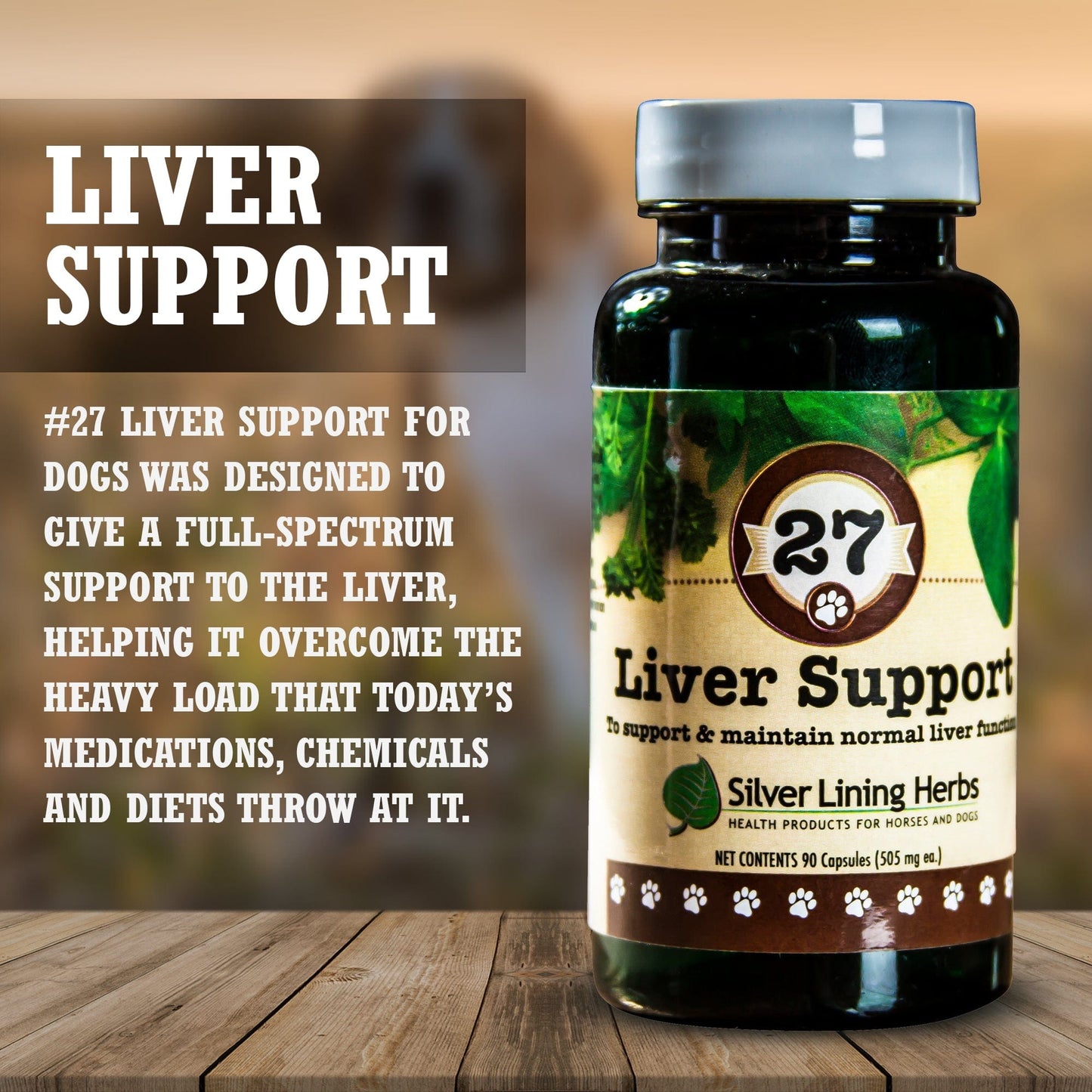 Liver Support Silver Lining Herbs