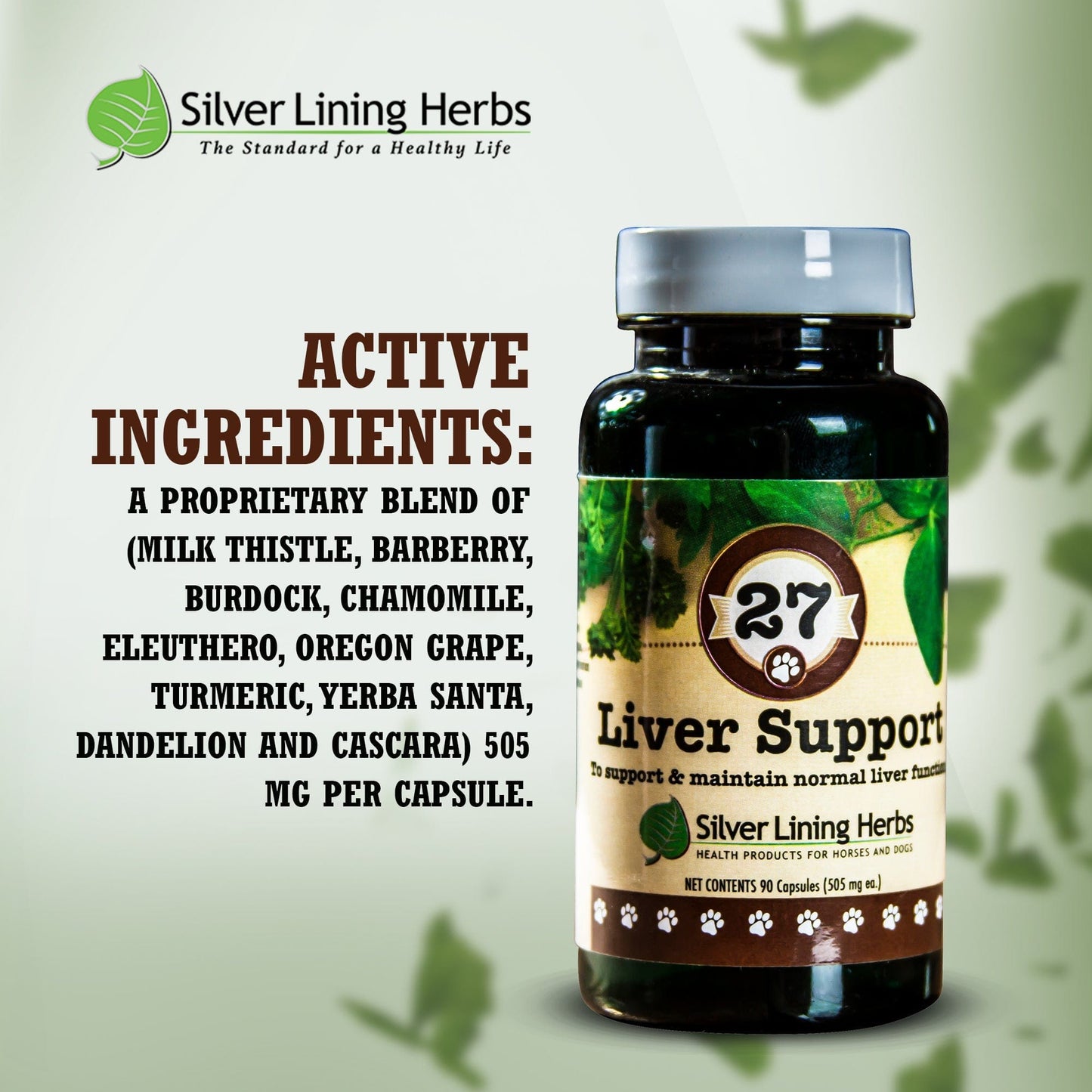 Liver Support Silver Lining Herbs