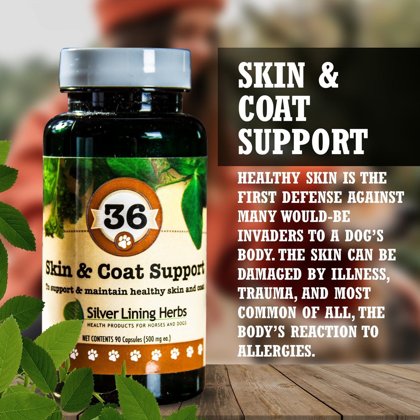 Skin & Coat Support by Silver Linings Herbs