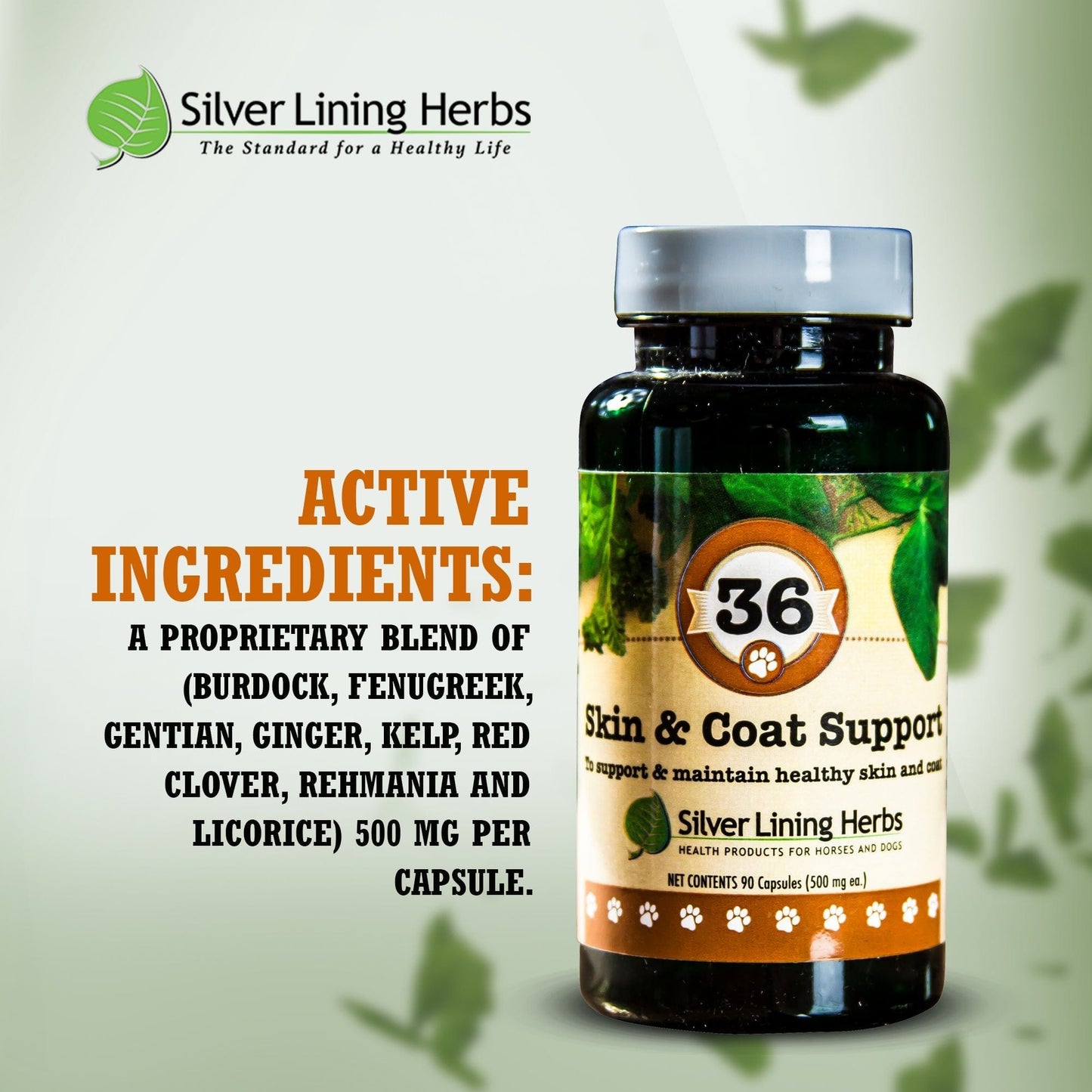 Skin & Coat Support by Silver Linings Herbs