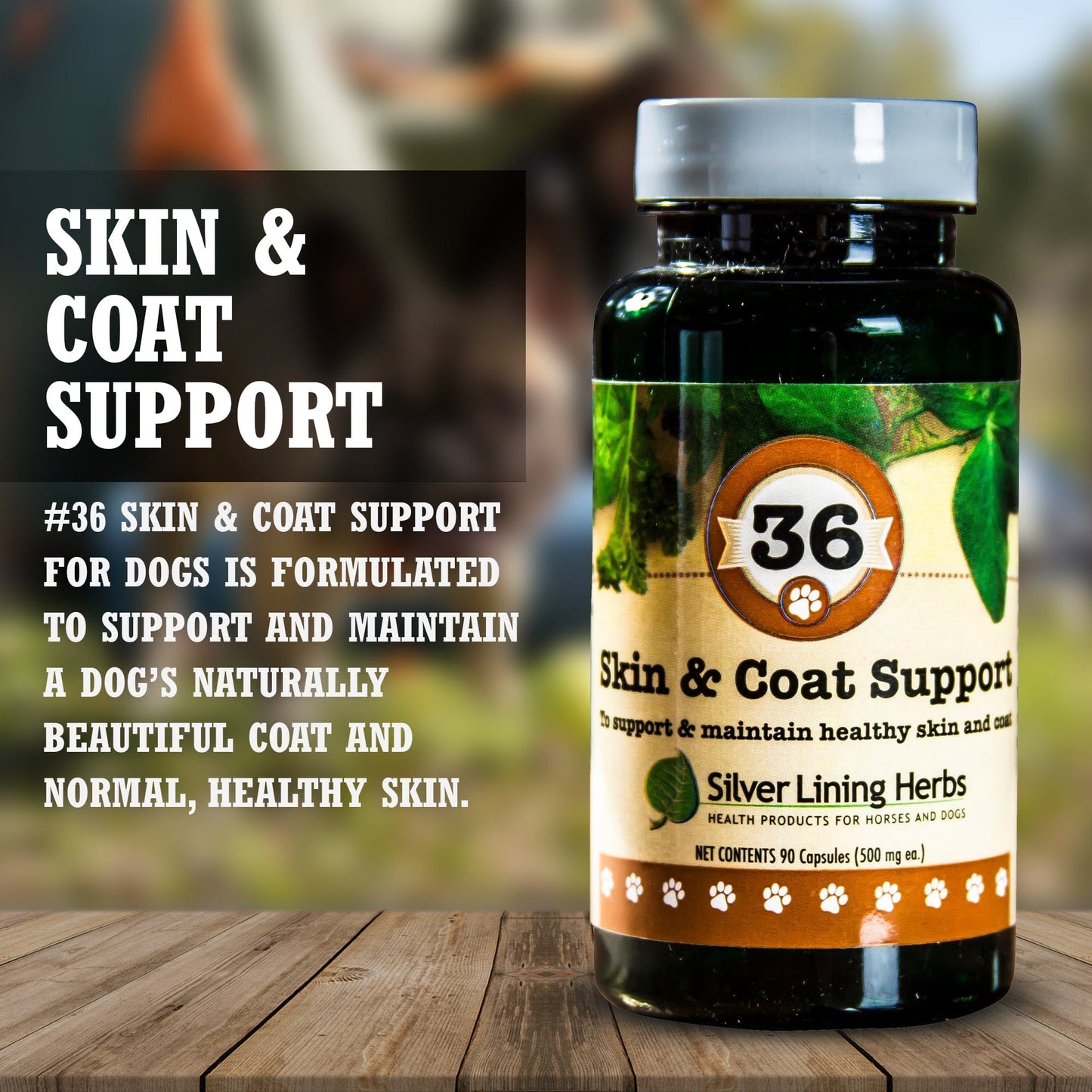 Skin & Coat Support by Silver Linings Herbs