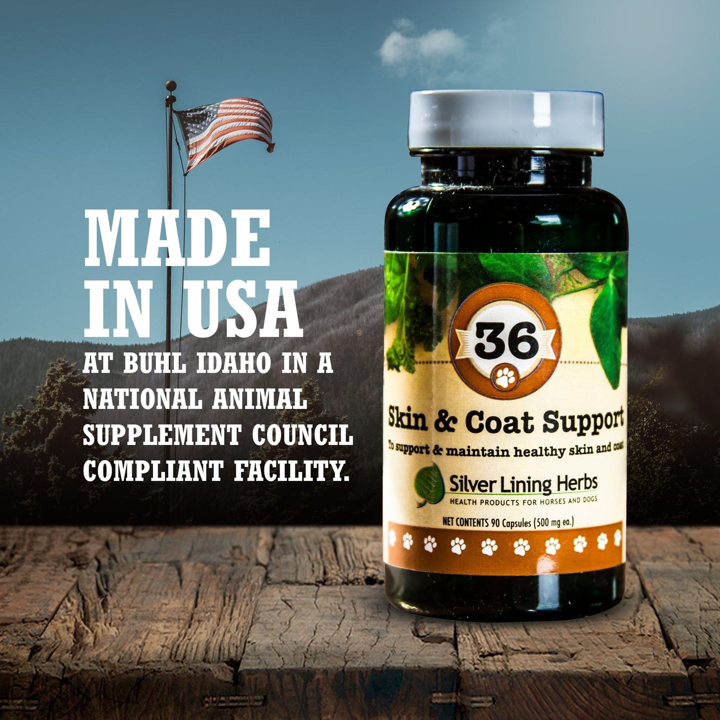 Skin & Coat Support by Silver Linings Herbs