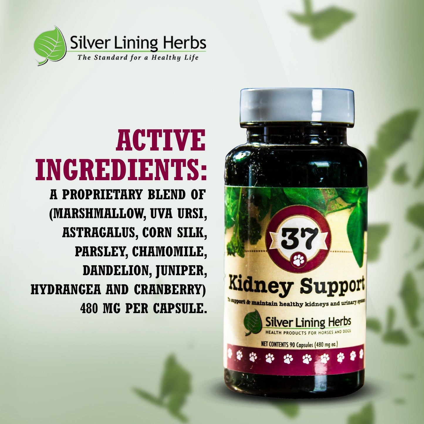 Kidney Support by Silver Linings Herbs