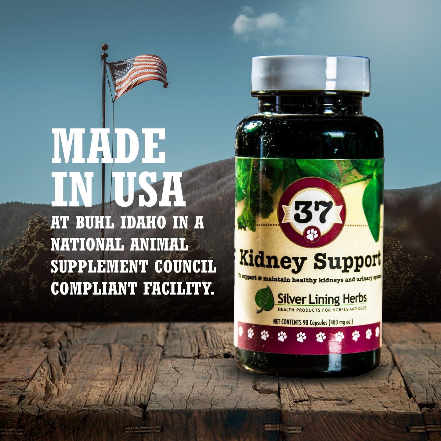 Kidney Support by Silver Linings Herbs