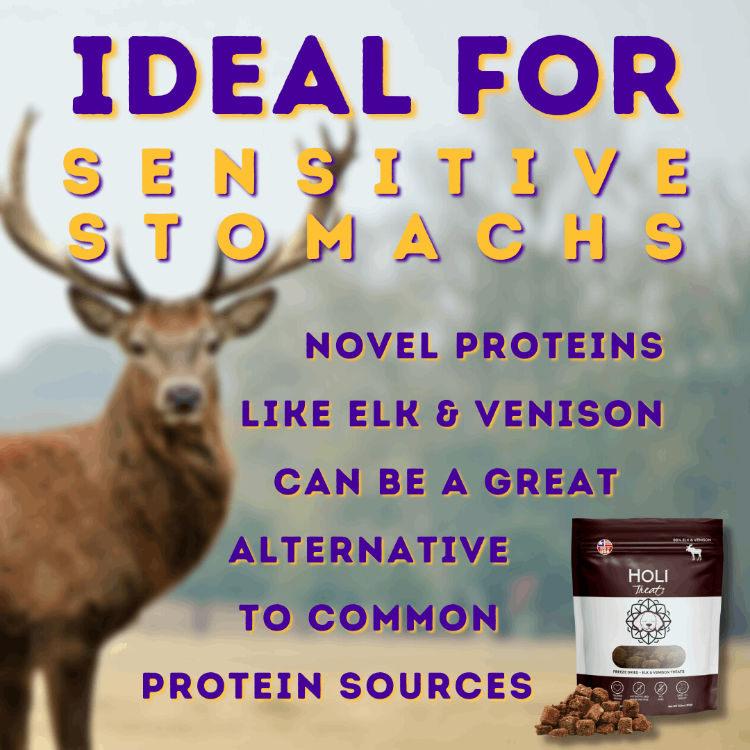 ideal for dogs with sensitive stomachs infographics