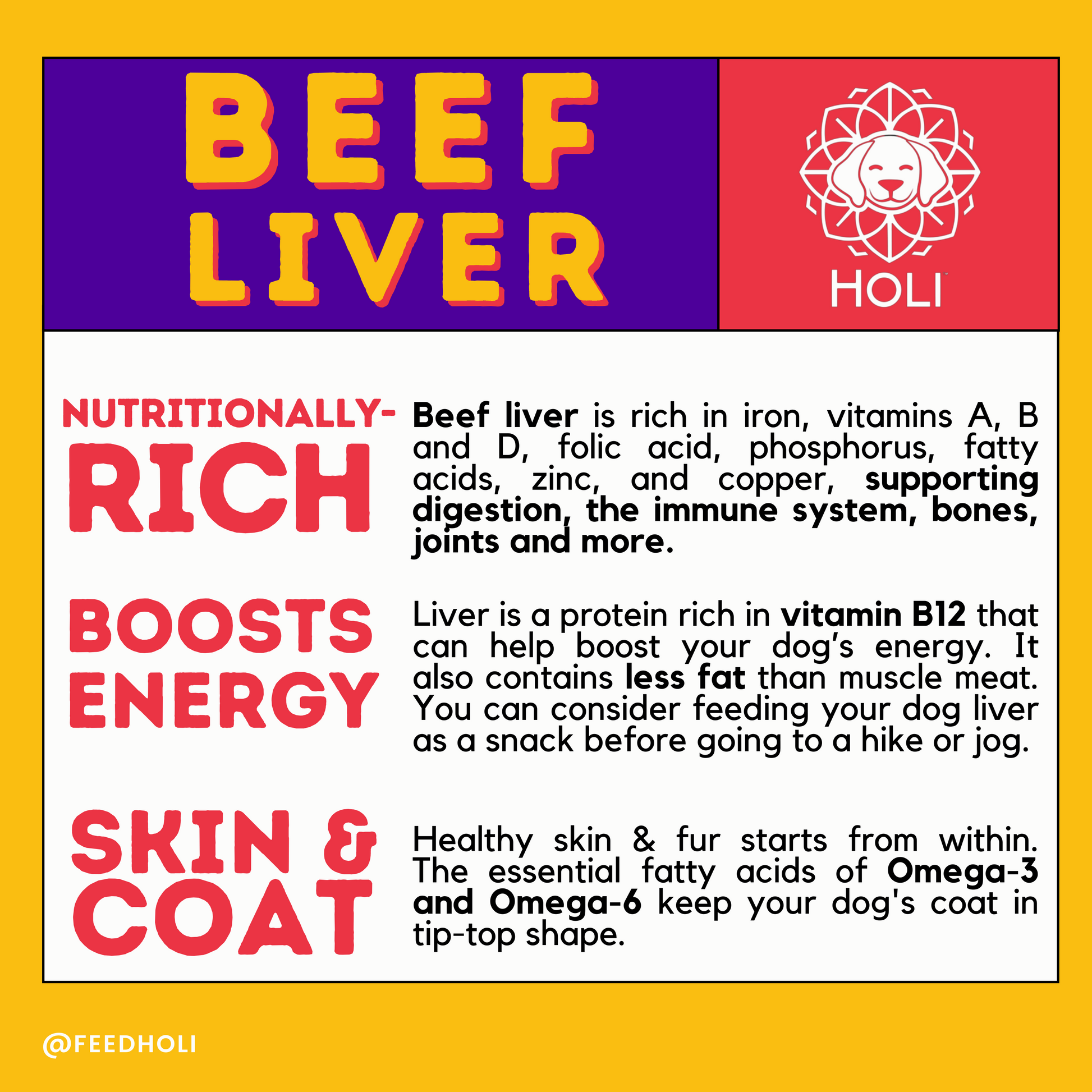 benefits of beef liver infographic