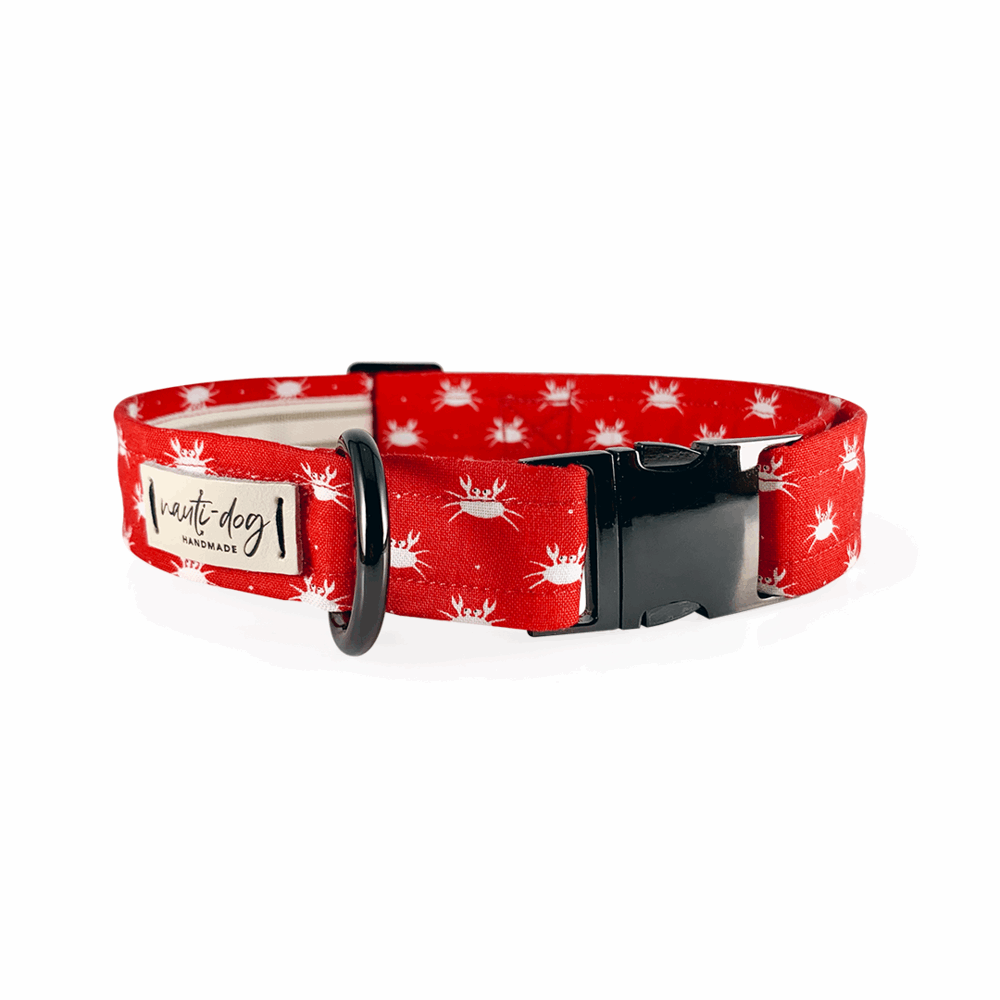 Crabby Red Maryland Crab Coastal Buckle Dog Collar with black gun metal hardware