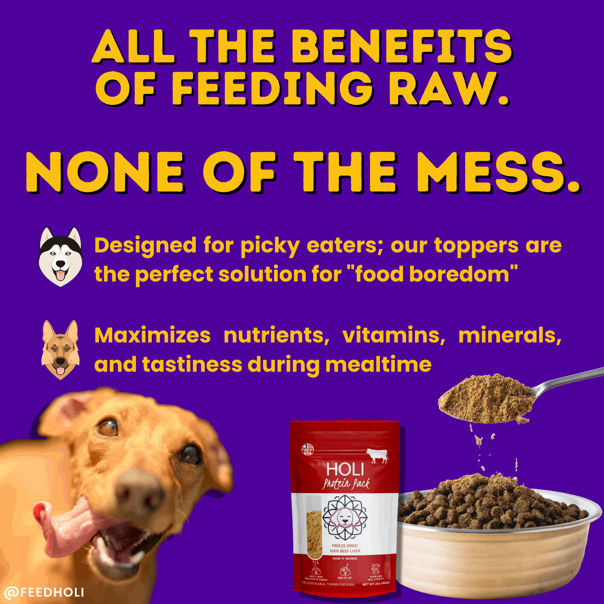 benefits of feeding raw infographic
