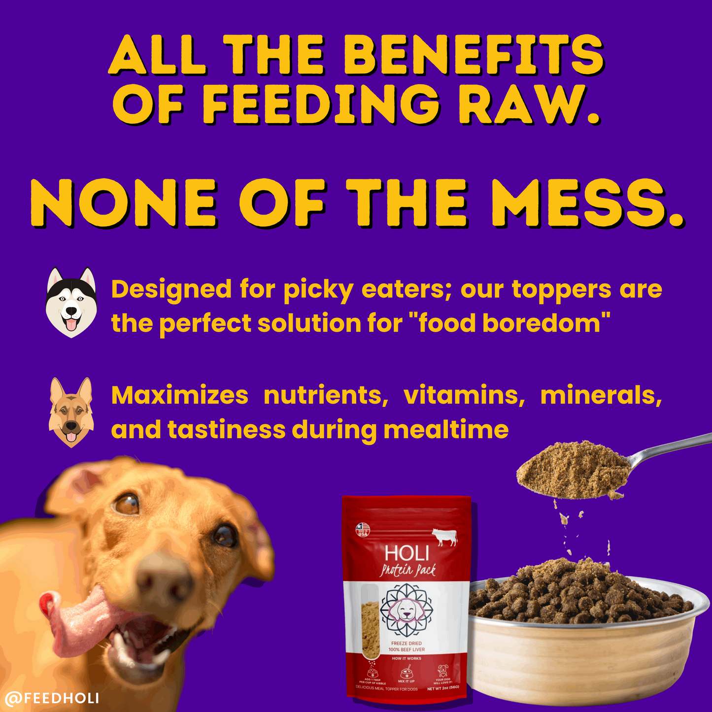 Benefits of Rabbit Dog Food Topper by HOLI infographic 