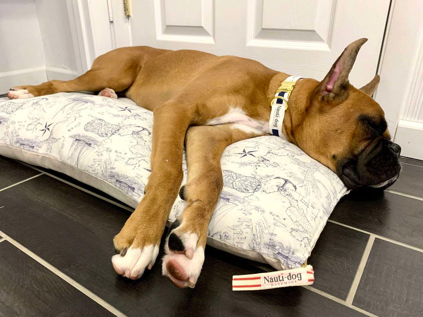boxer dog sleeping on vintage white and navy maritime toile nautical map designer dog bed