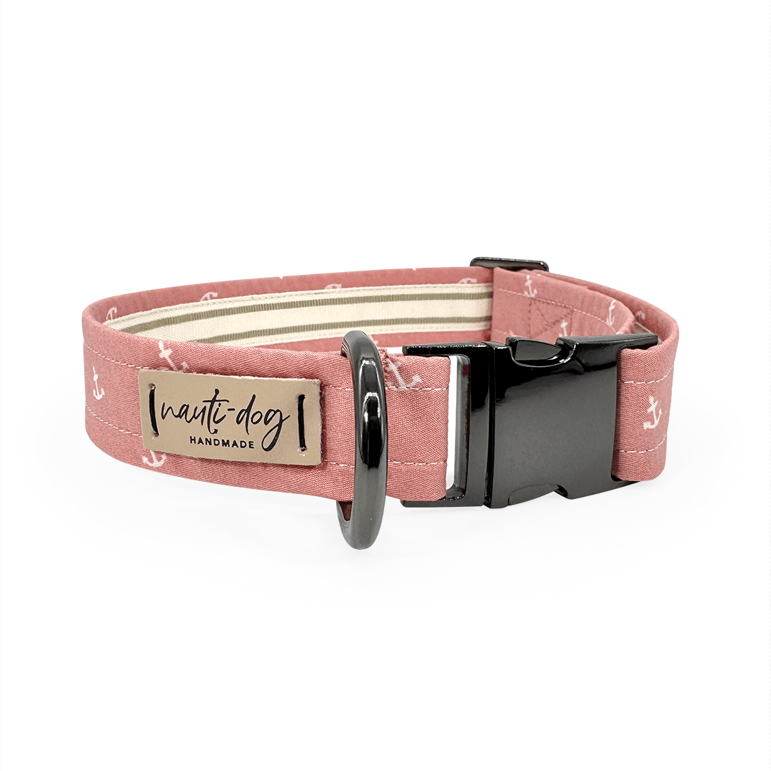 pink and white girly anchor dog collar with black gunmetal hardware on white