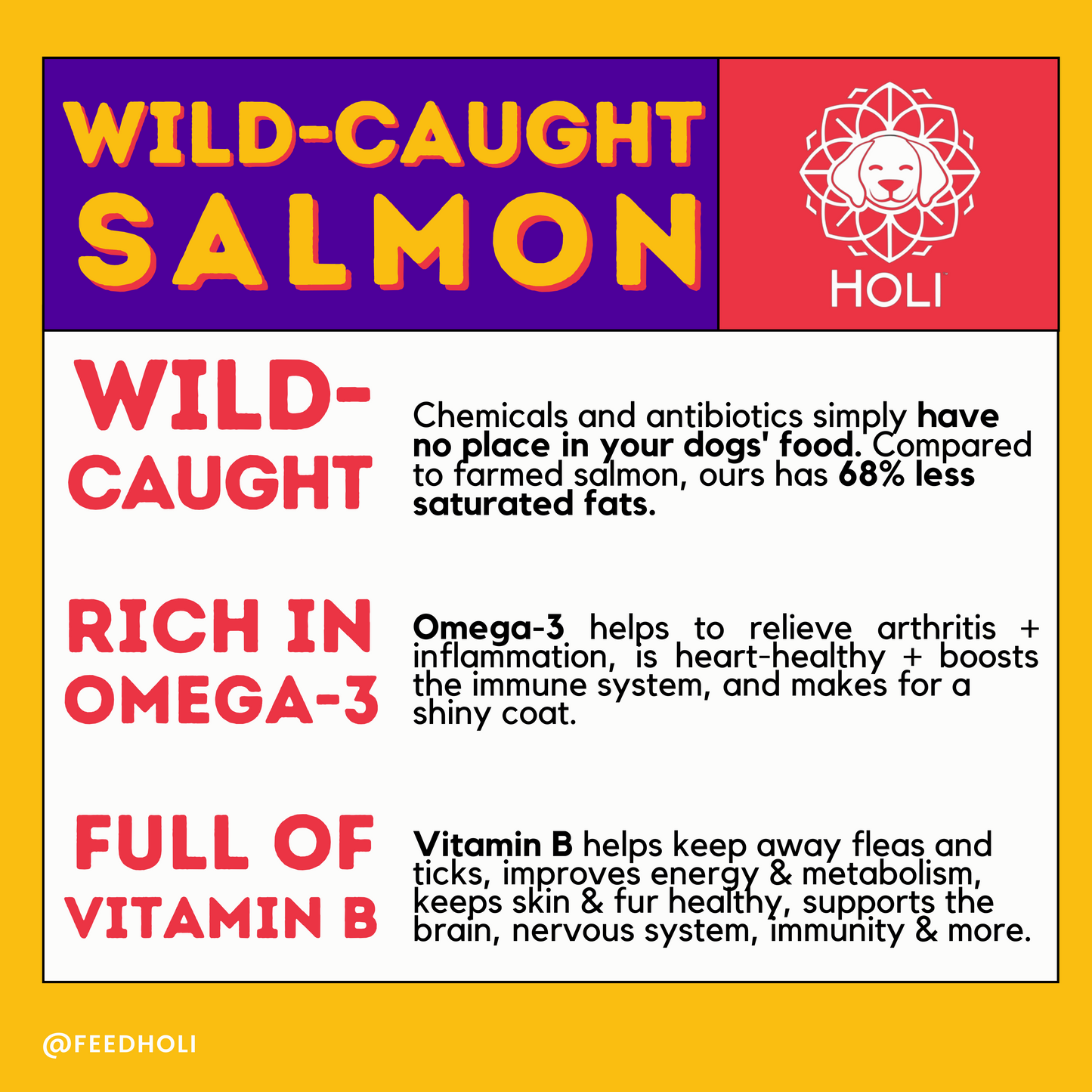 Wild Caught Salmon Dog Food Topper by HOLI benefit infographic 