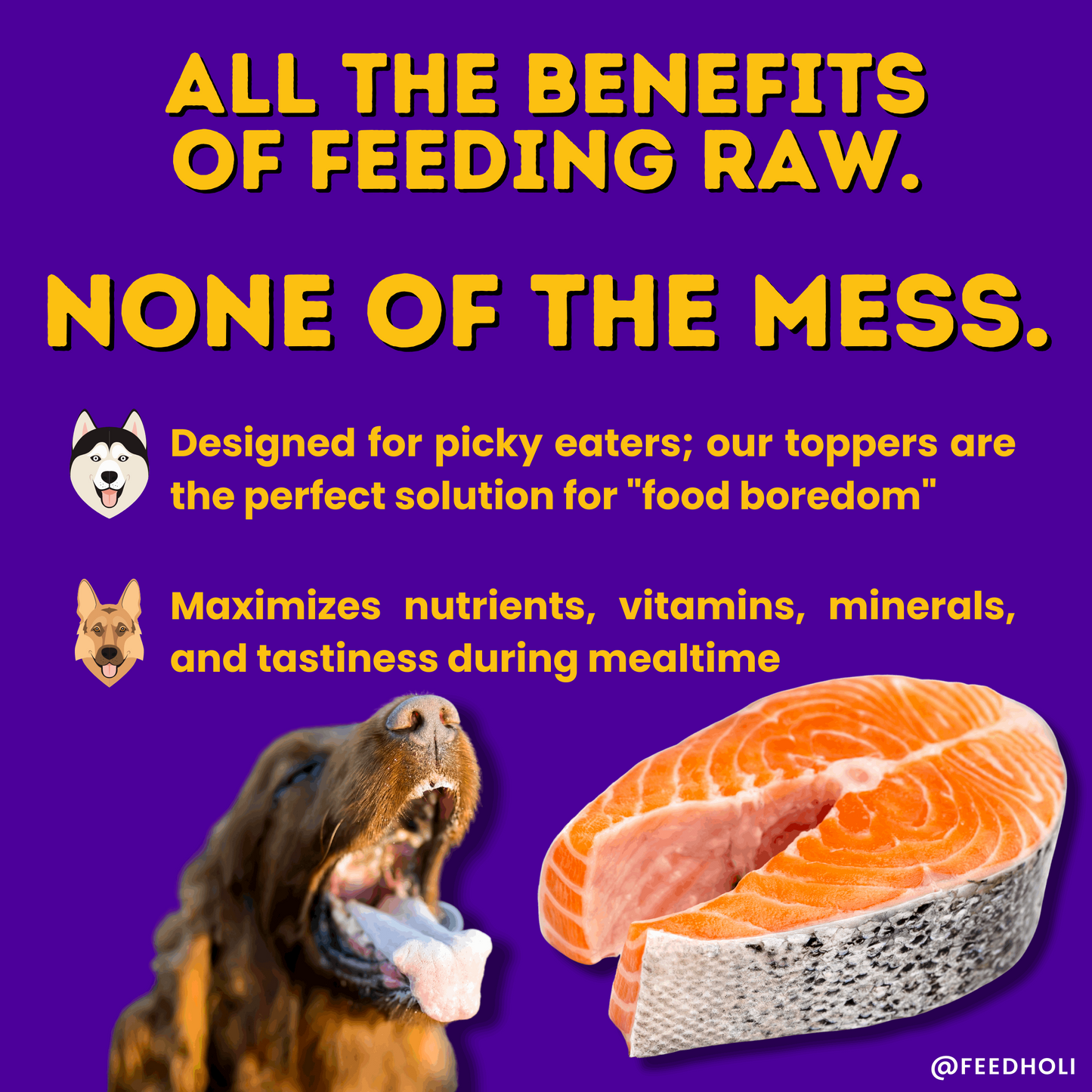 Raw feeding benefits inforgraphic