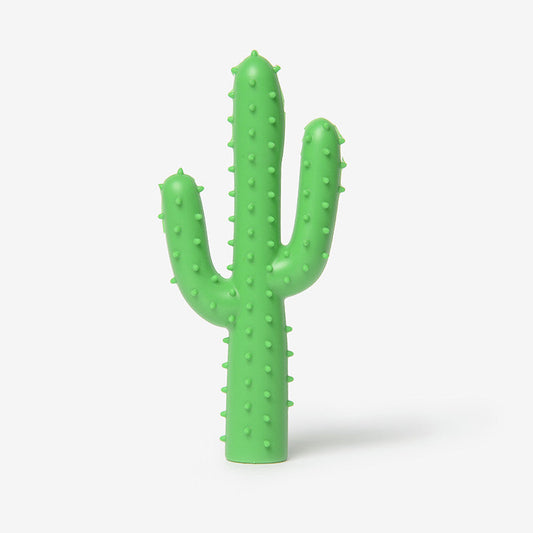 Silly Succulent Cactus rubber Dog chew Toy by Waggo