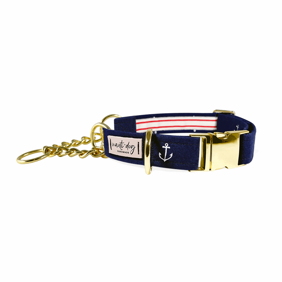 nautical navy martingale dog collar with anchors and gold chain hardware