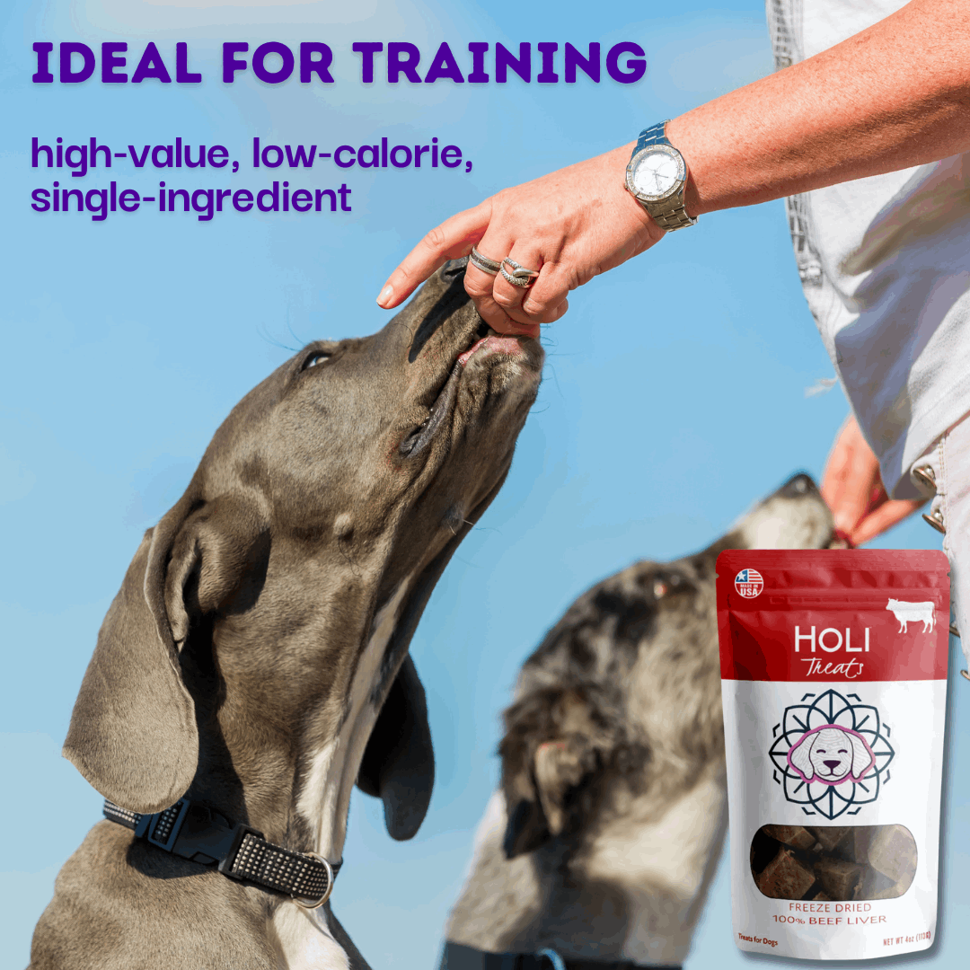 two dogs training with beef liver dog treats by HOLI
