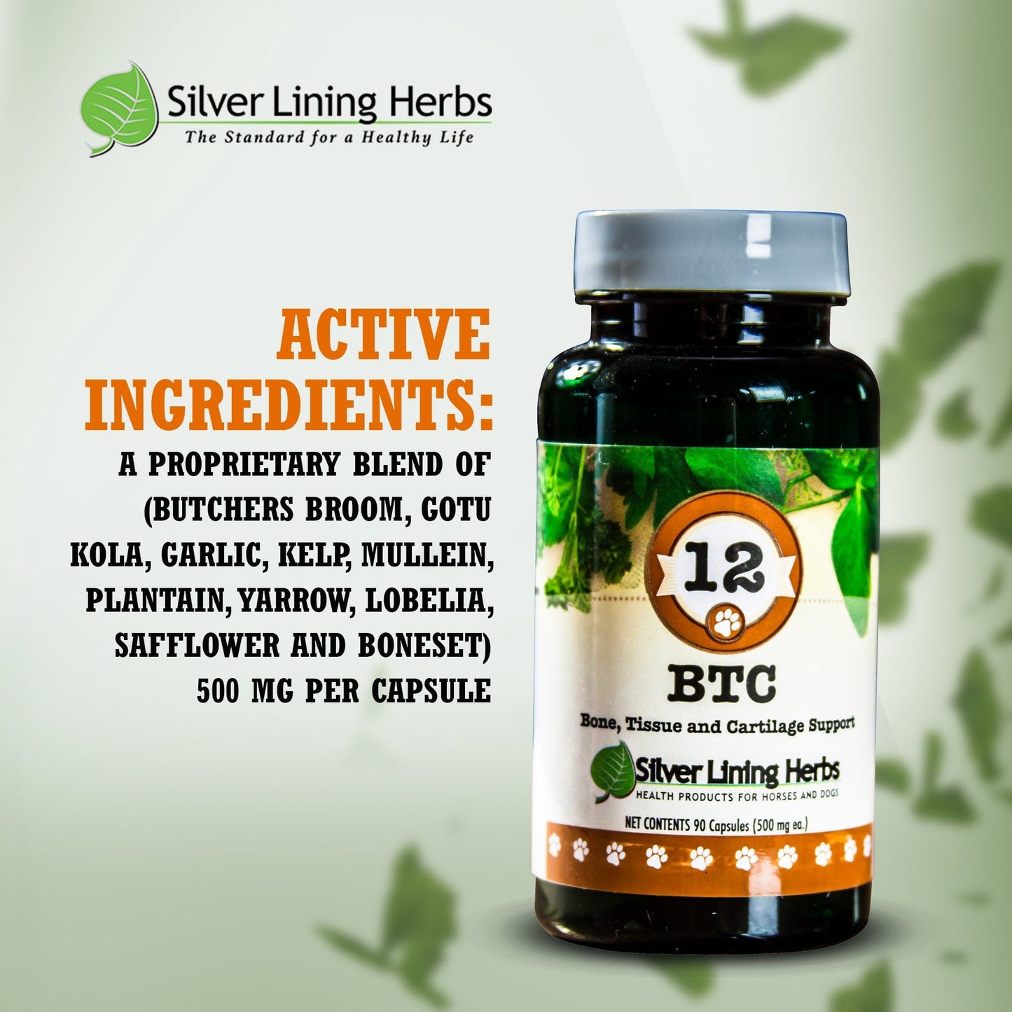 BTC Bone Tissue & Cartilage Support by Silver Linings Herbs
