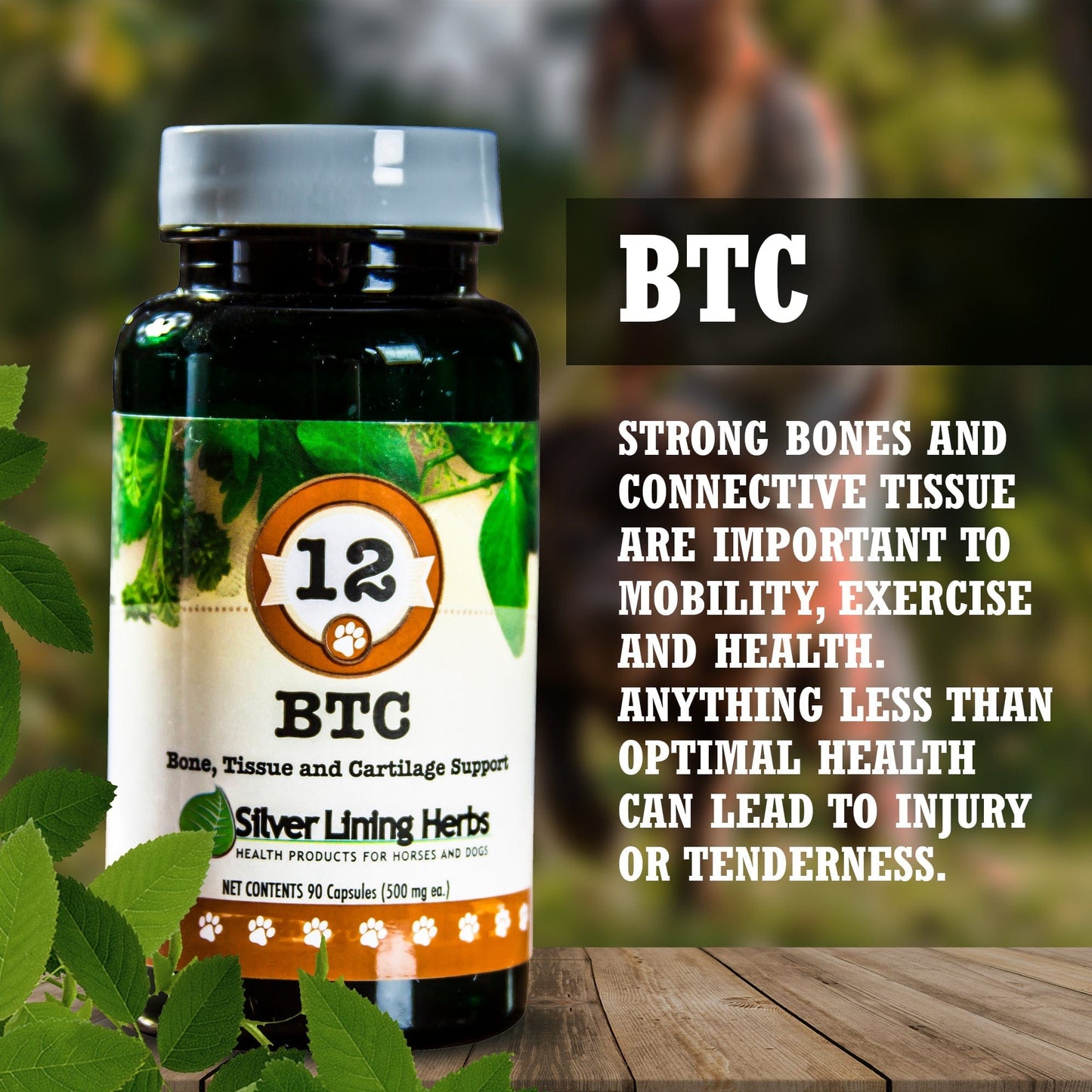 BTC Bone Tissue & Cartilage Support by Silver Linings Herbs