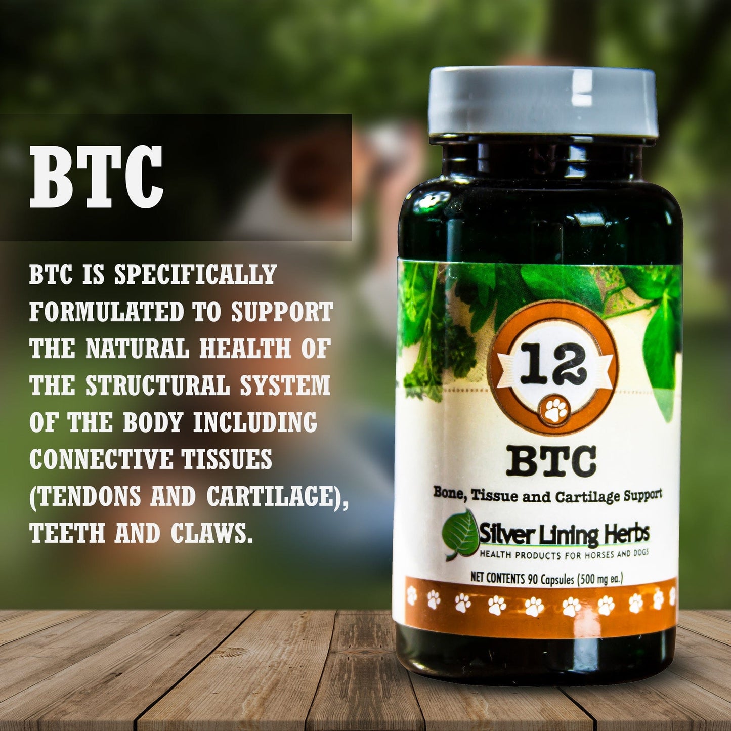 BTC Bone Tissue & Cartilage Support by Silver Linings Herbs