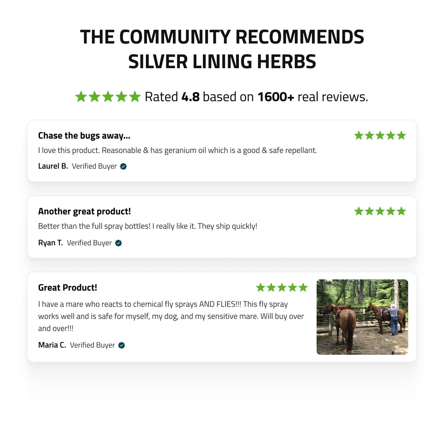 Bug Repel by Silver Linings Herbs