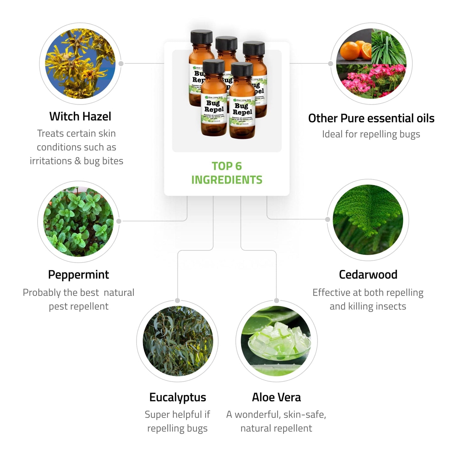 Bug Repel by Silver Linings Herbs