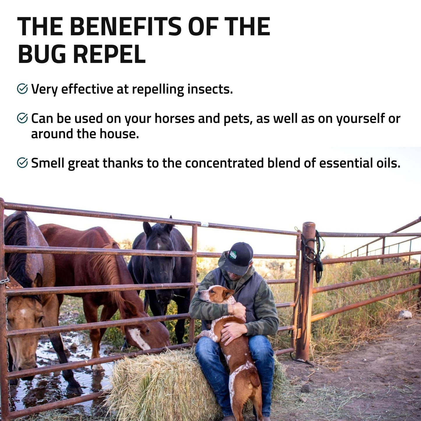 Bug Repel by Silver Linings Herbs